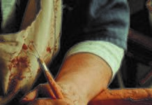 Plasencia presenta el cartel del Martes Mayor 2025 con un homenaje a la artesanía