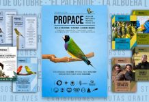 La Albuera reúne más de mil aves en la II Exposición Ornitológica del 17 al 19 de octubre