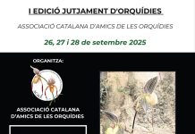 Barcelona acoge el primer Certamen de Orquídeas en España con juzgamiento oficial según los estándares del Consejo Europeo de la Orquídea