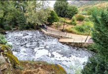 Diputación de Cáceres y Junta definen medidas contra la contaminación del agua tras los incendios