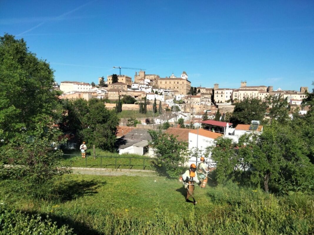 La Bajada de la Virgen de la Montaña contará con más de veinte agentes y apoyo accesible en Cáceres