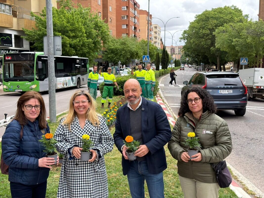 Cáceres renueva 9.000 plantas ornamentales de siete especies en todos sus distritos con una inversión de 15.000 euros