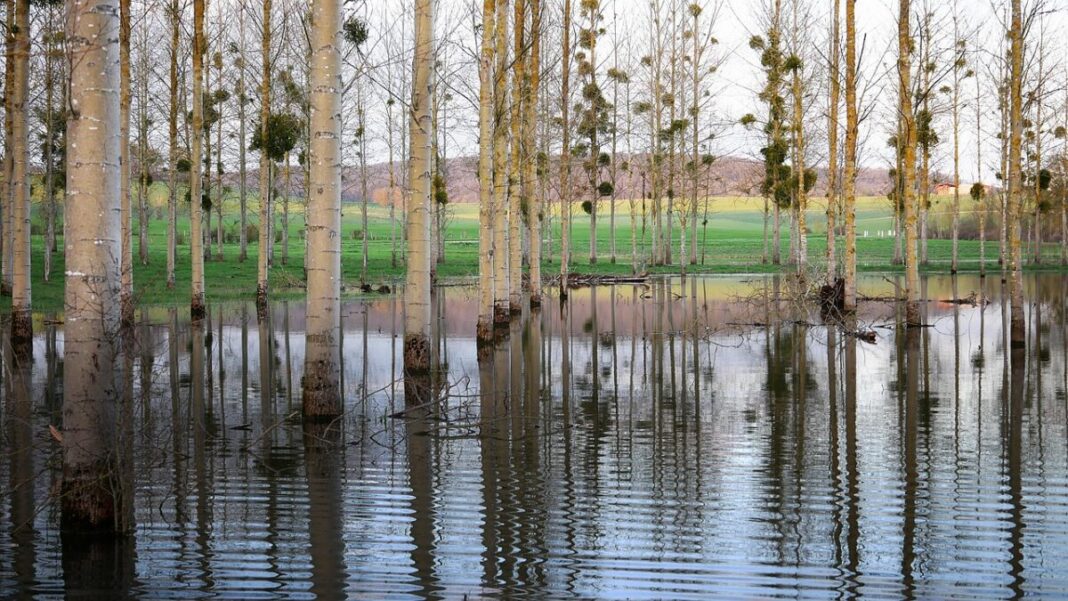 Los ayuntamientos extremeños afectados por las inundaciones contratan desempleados para la reconstrucción con fondos del SEPE